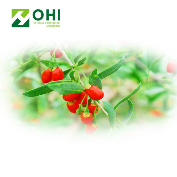 Goji Berry Extract Polysacharides Powdert